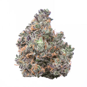 Candyland Strain 