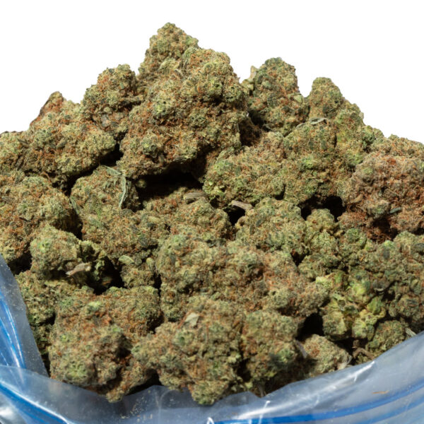 Citrique strain