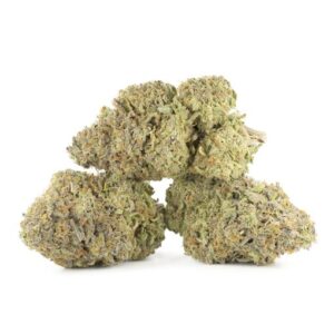 Duke Nukem Strain for sale