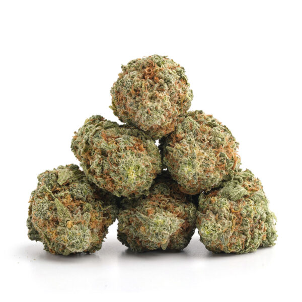 Harlequin Strain