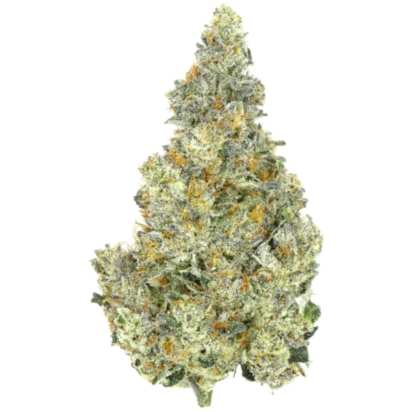 Buy Fritter Glitter Strain