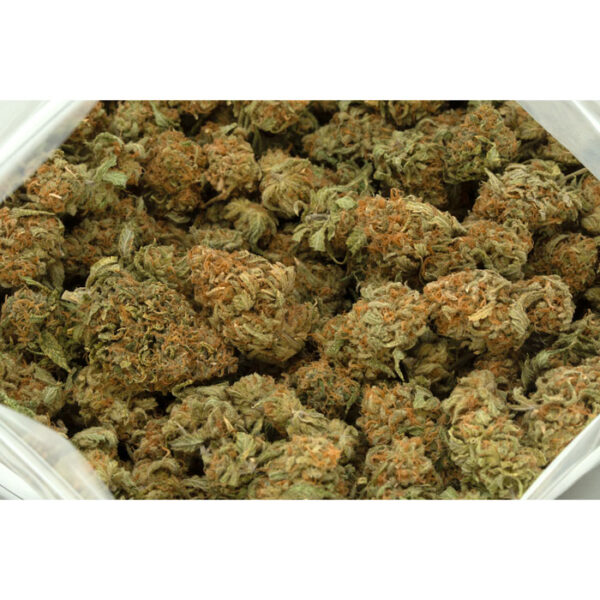 Lemon Cake strain