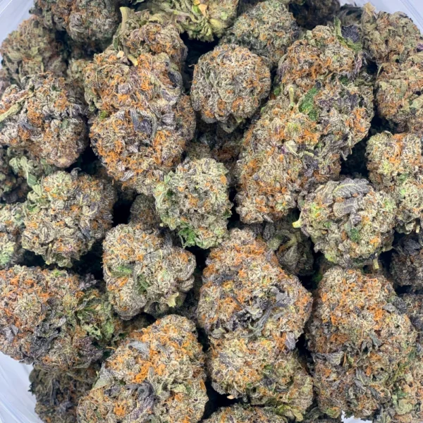 Midnight Special Strain - Image 3