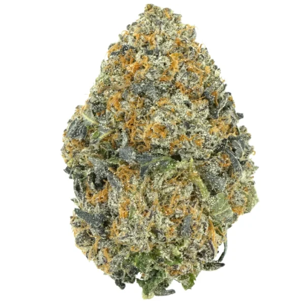 Midnight Special Strain - Image 4