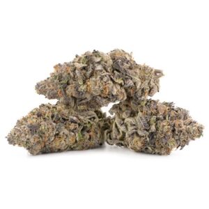 Mimosa strain for sale