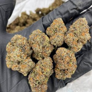 Rainbow Chip strain