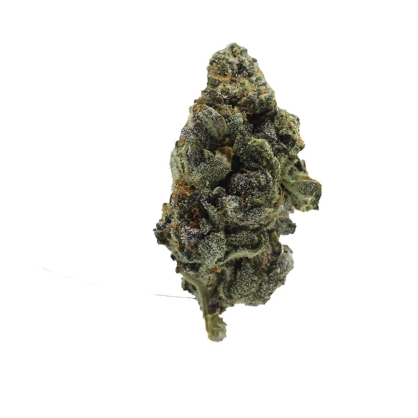 Runtz strain
