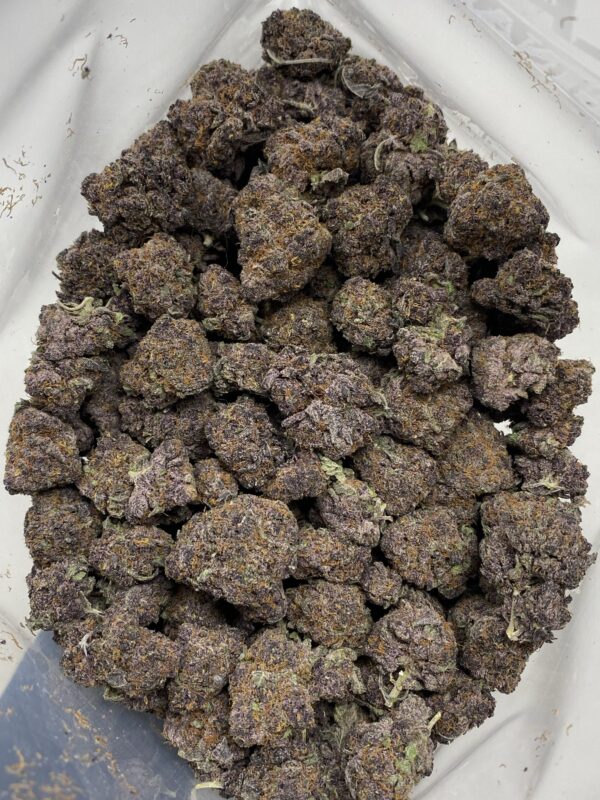 Tropicana Cookies Strain