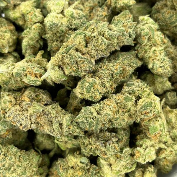 Amnesia Haze Strain