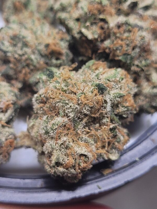 Cake Bomb Strain for sale