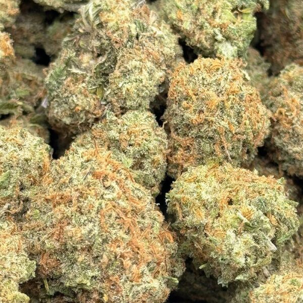 Girl Scout Cookies Strain For Sale