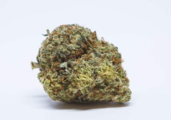 Trainwreck Strain