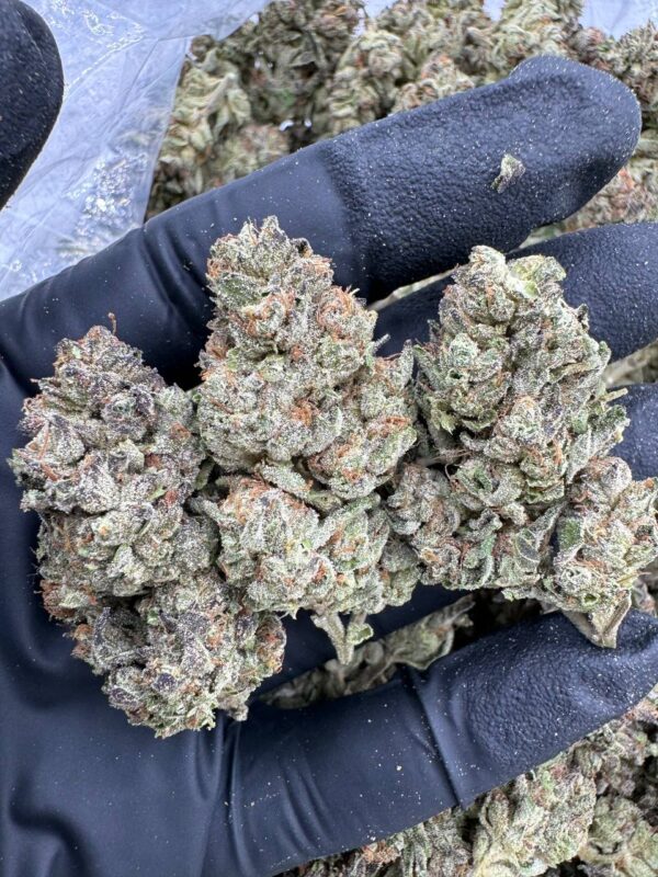 Wedding Cake Strain for sale