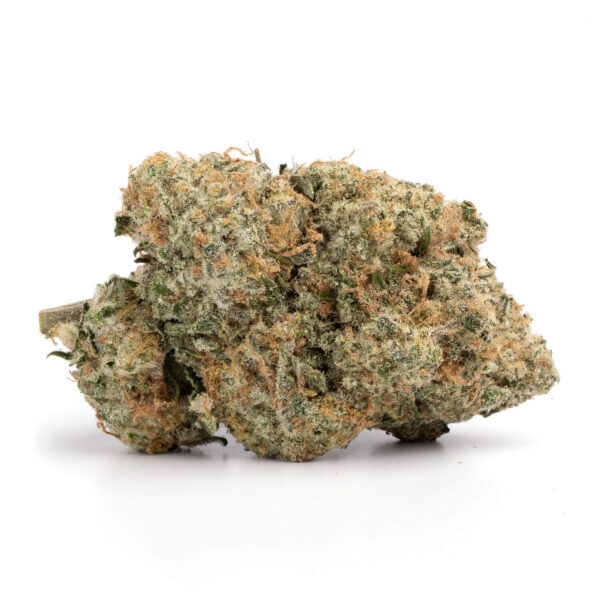 AK 47 strain