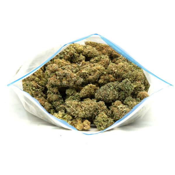 Blue Haze strain - Image 2