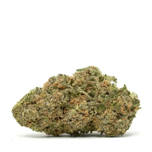 Blue Magoo strain for sale
