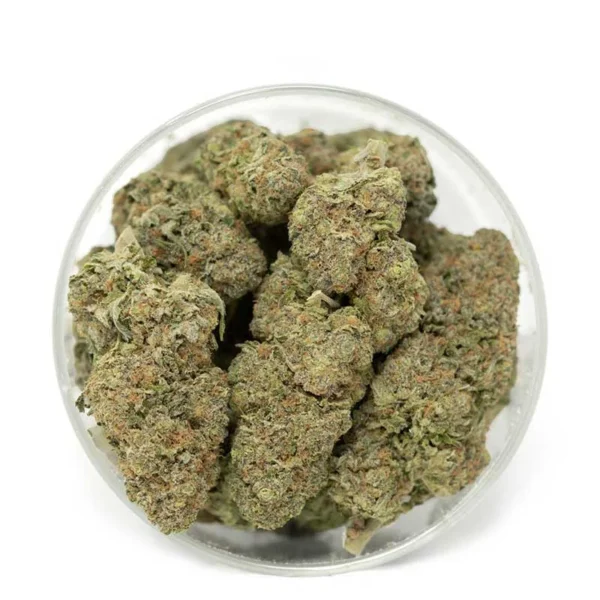 Blue Magoo strain - Image 2