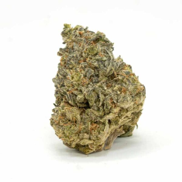 Cheese Quake strain - Image 2