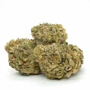 Cheese Quake strain