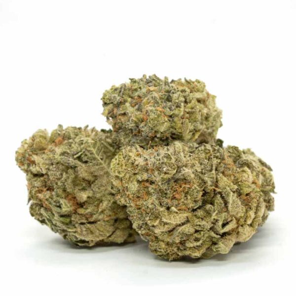 Cheese Quake strain