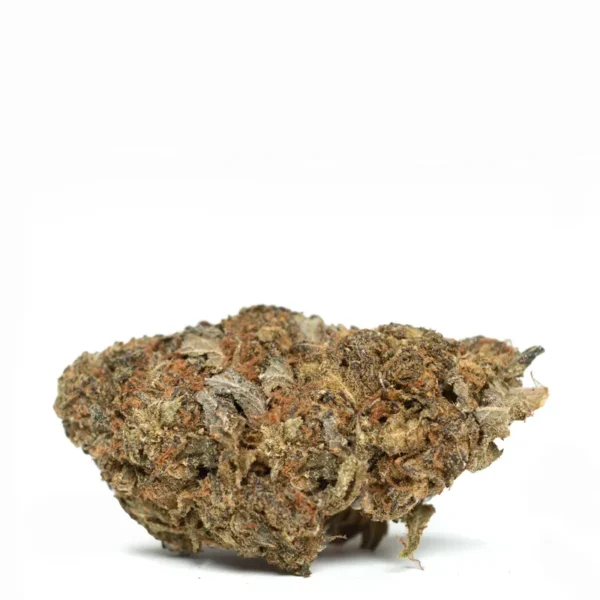 Chernobyl strain