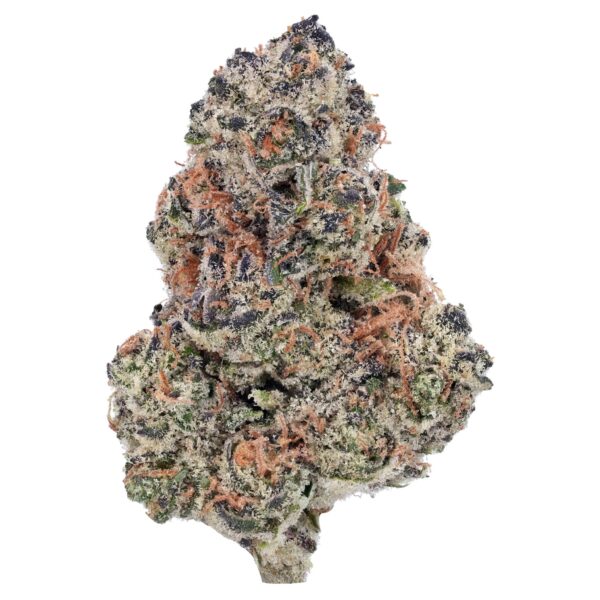 Chocolate Kush Strain