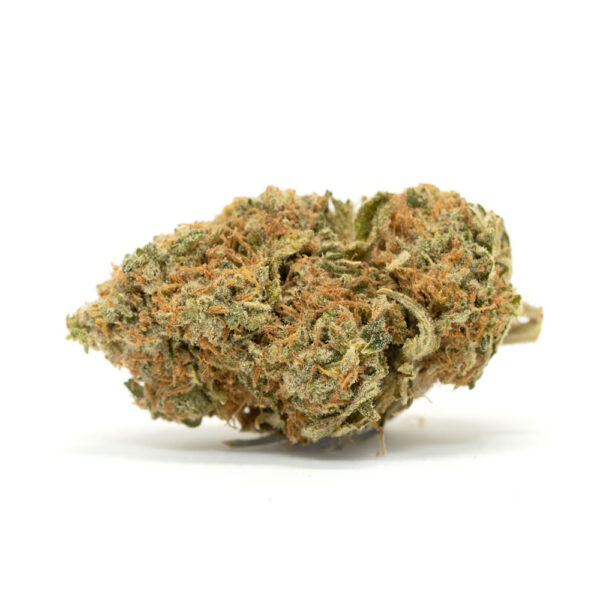 Comatose strain for sale