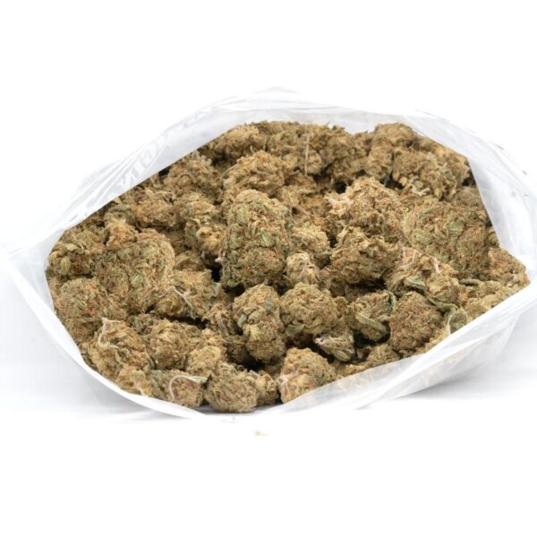Critical Haze Strain - Image 2