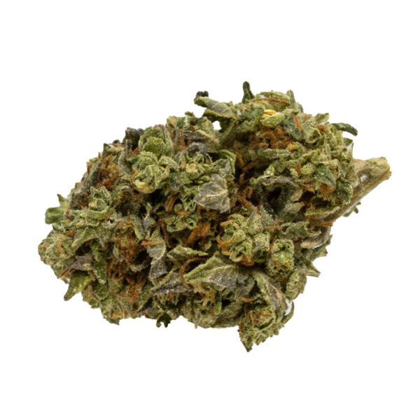 Critical Kush strain for sale
