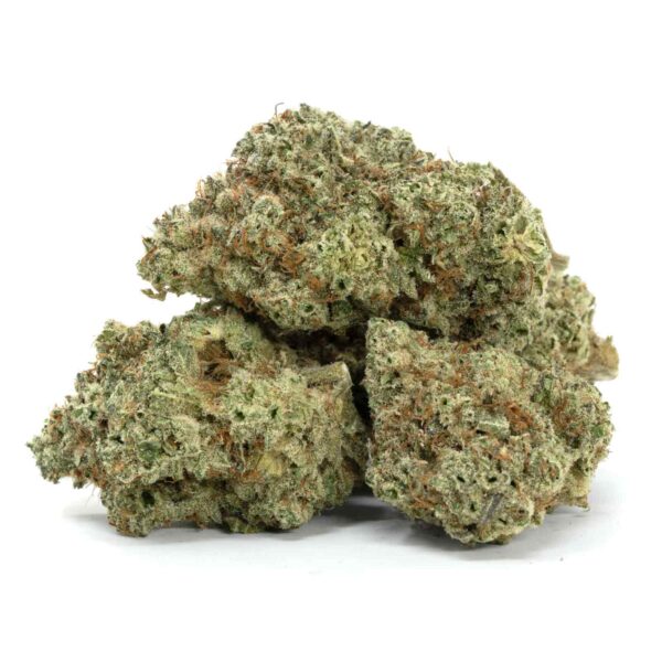 Dairy Queen Strain - Image 2
