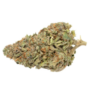 dutch treat strain