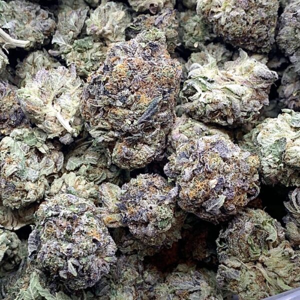 El Jefe strain