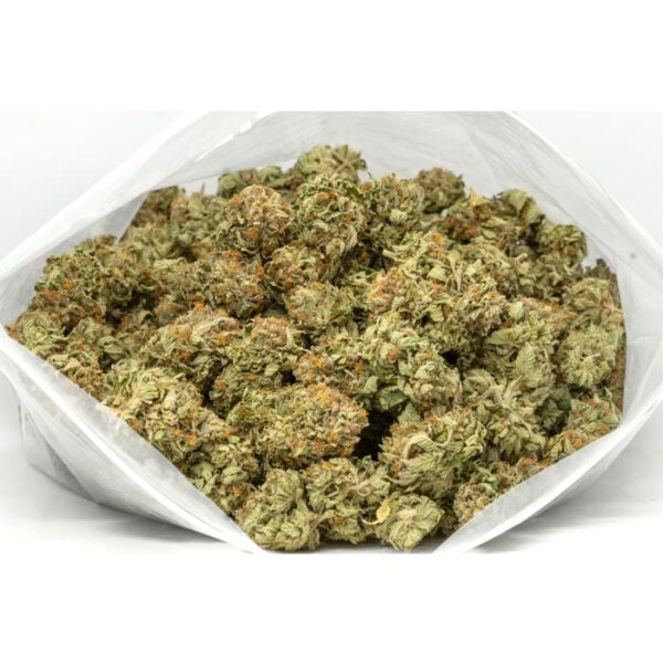 Frosty Haze strain - Image 2