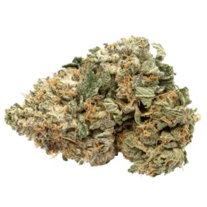 Frosty Kush strain for sale