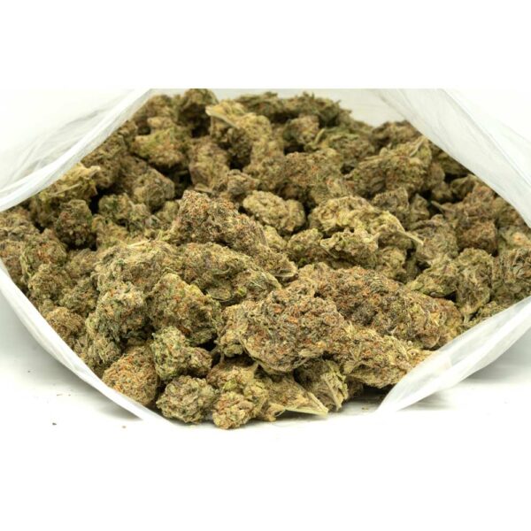 Gelato 33 strain - Image 2