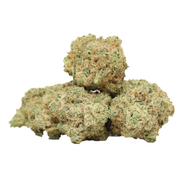 Gelato 33 strain
