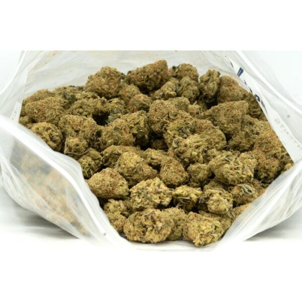 Gorilla Bomb strain - Image 2