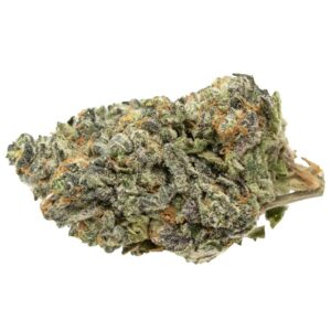 Goudaberry strain for sale