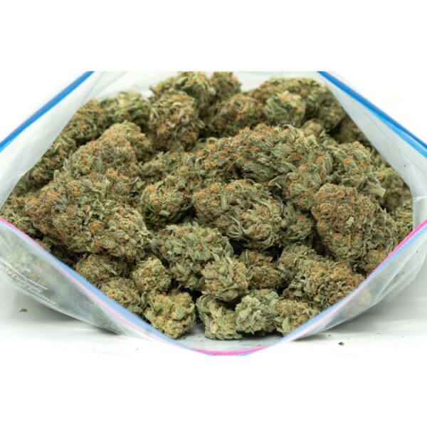 Grapefruit strain - Image 2