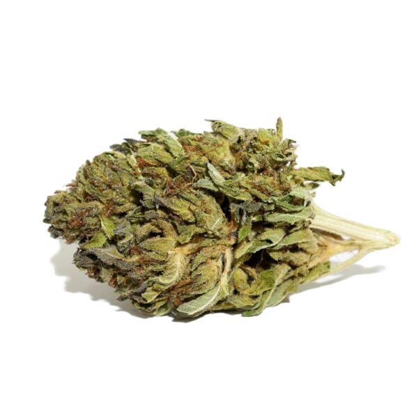 Green House Strain for sale
