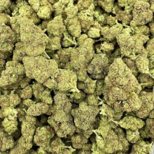 Italian Ice strain