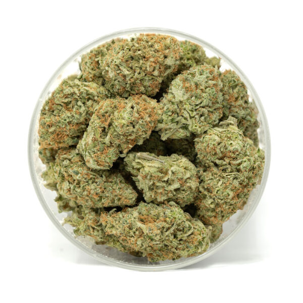 Jilly Bean Strain - Image 2