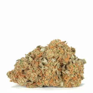 mango haze strain