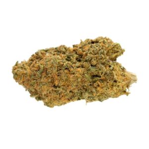 northern berry strain