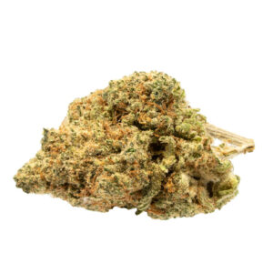 OG Shark strain for sale