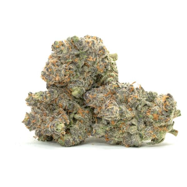 Orange Creamsicle strain - Image 2
