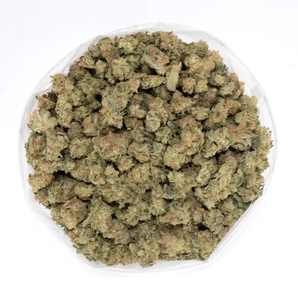 Pennywise Strain