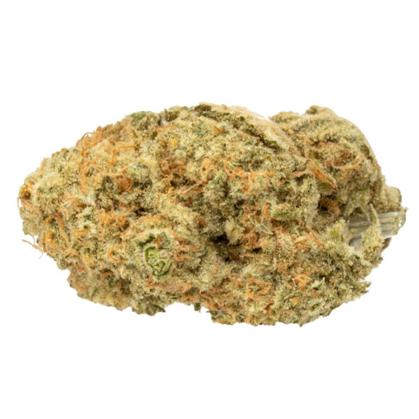 Platinum Cookies strain for sale