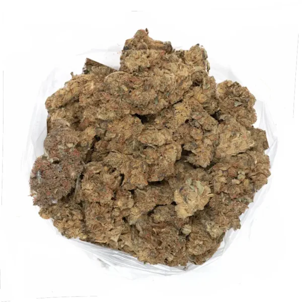Power Plant strain