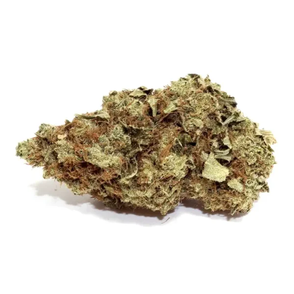 purple hindu kush strain